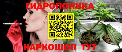 гидропоника Кулебаки